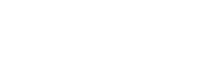 Elite Swimming Academy